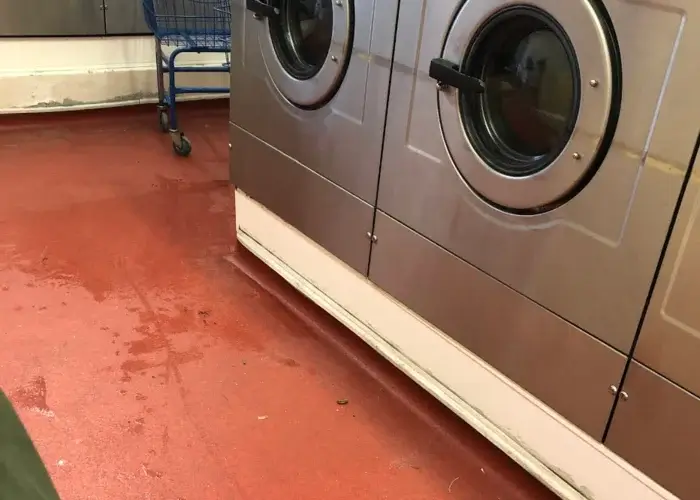 Capricorn Laundromat