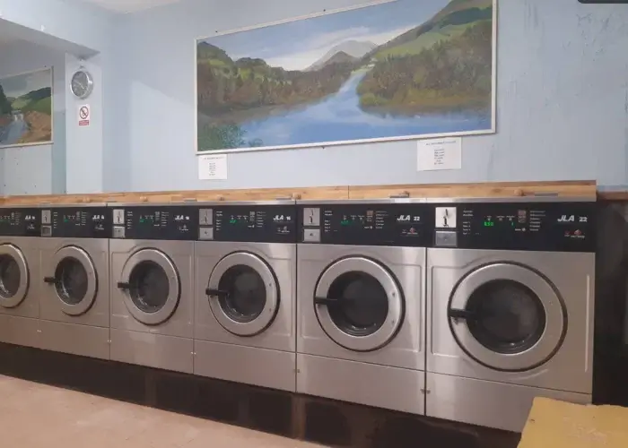 The Laundromat delivery